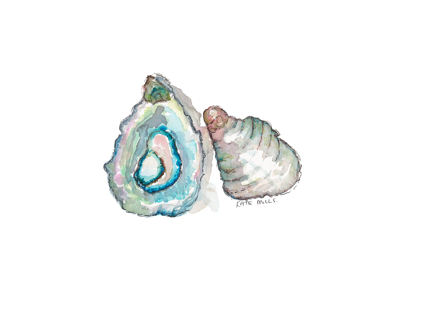 Oyster & Shell Watercolor Art Print