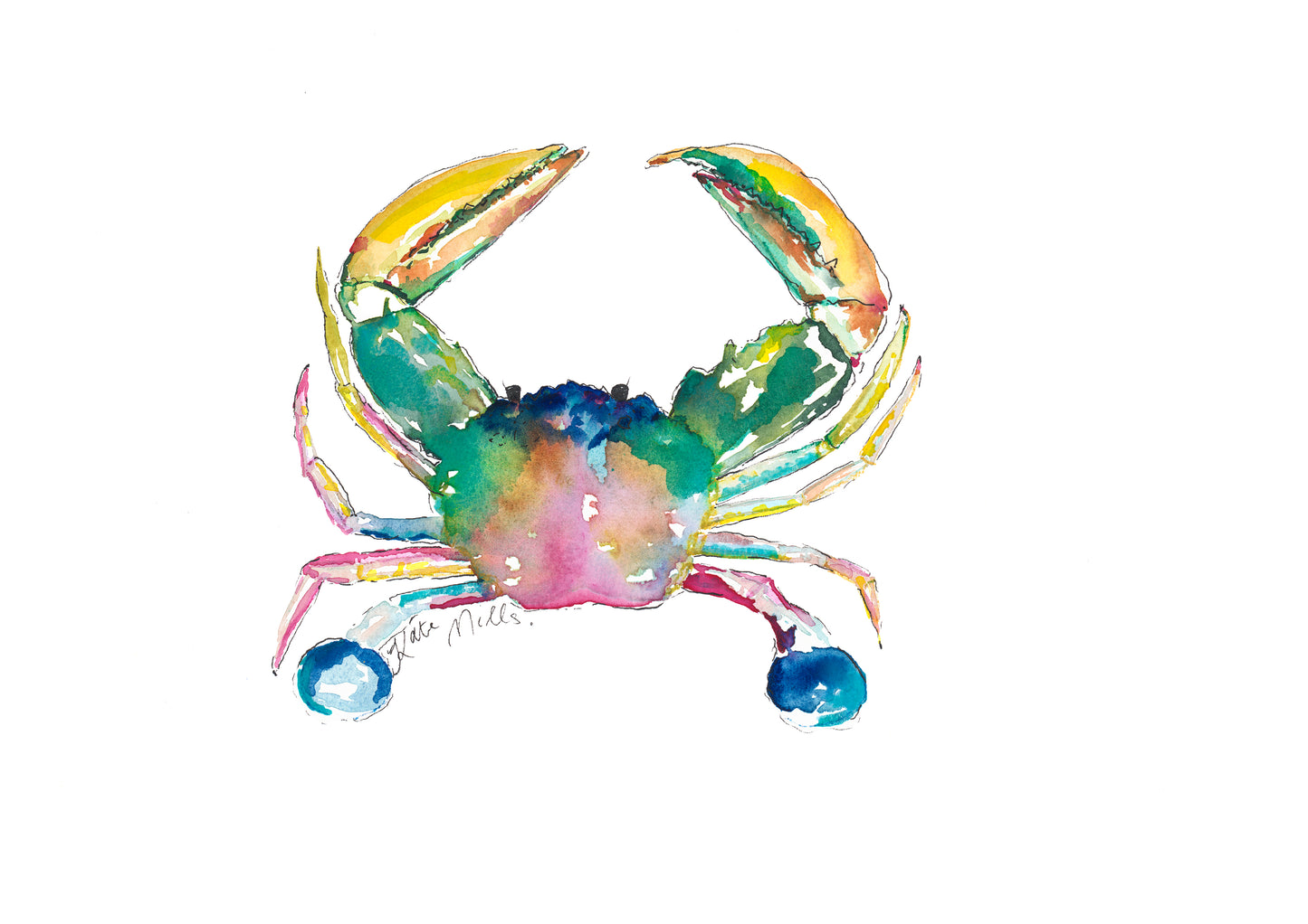 Yellow Claw Coast Crab Watercolor Art Print