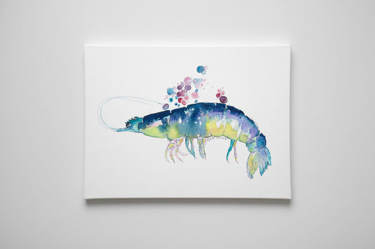 Midnight Tide Prawn Watercolor Art Print