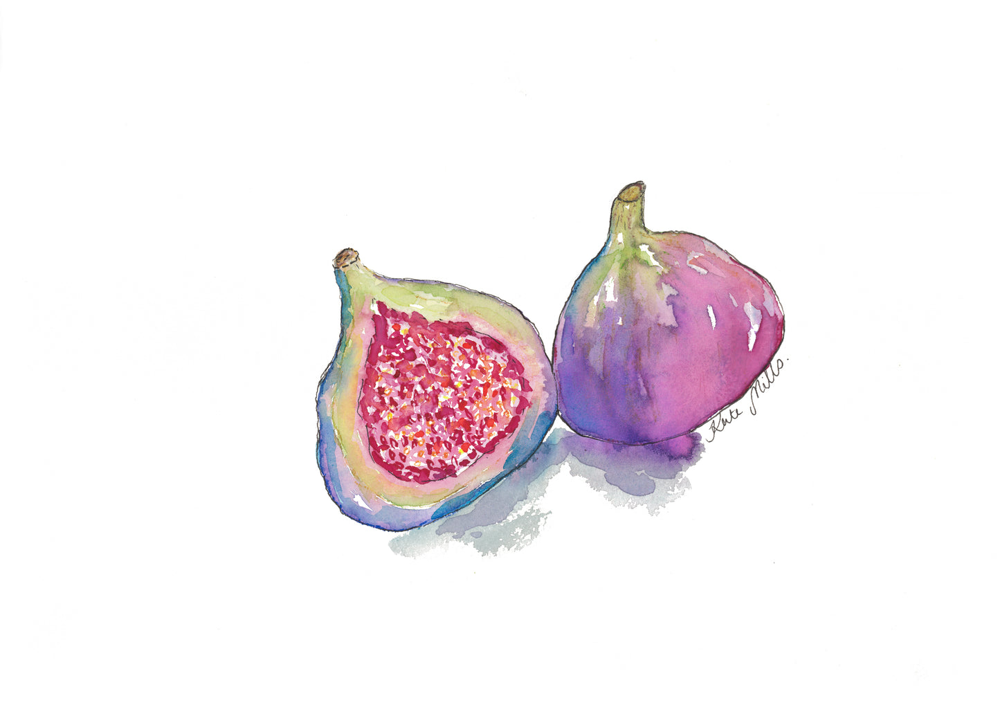 Magenta Figs Watercolor Art Print