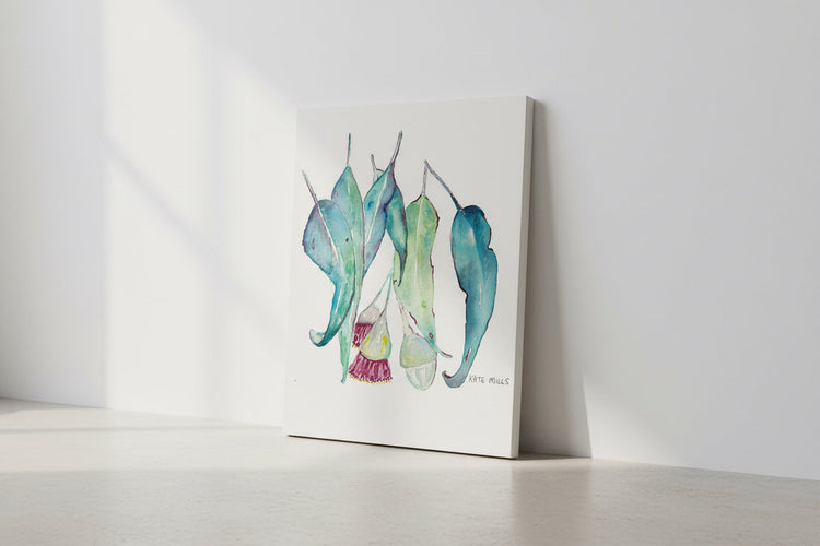 Eucalyptus