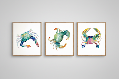 Coral Claw Crab Watercolor Art Print