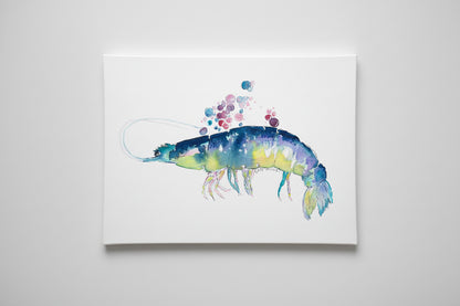 Midnight Tide Prawn Watercolor Art Print