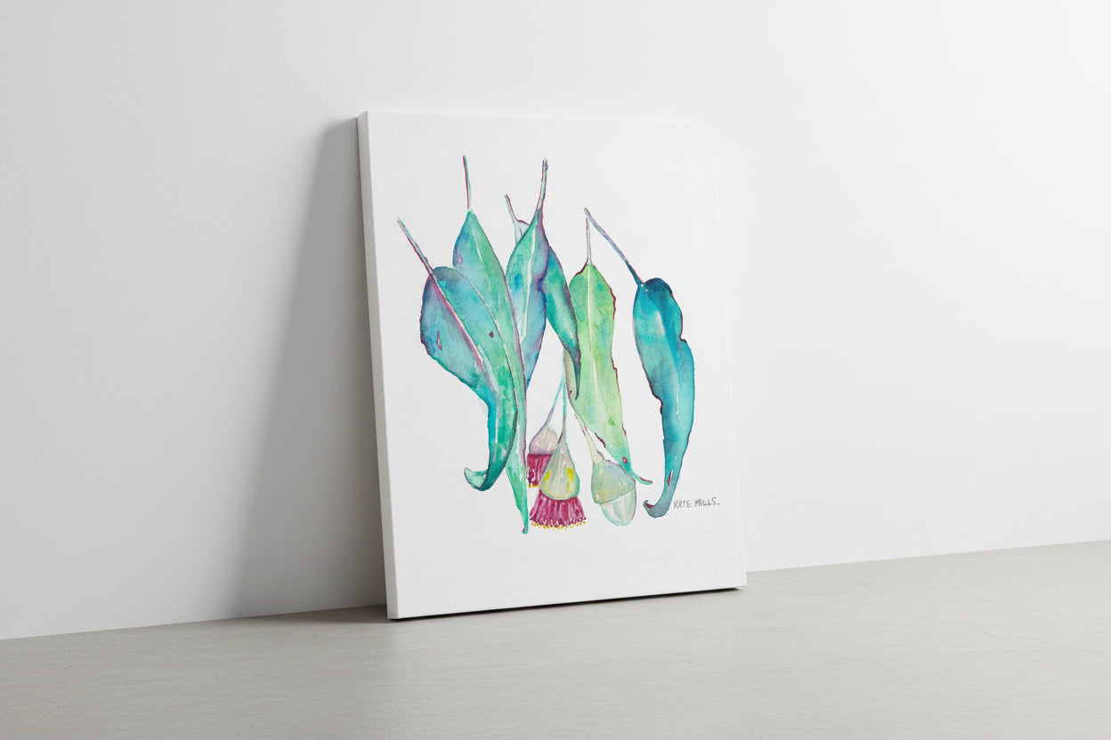 Eucalyptus Gumnuts Artwork Watercolor Art Print