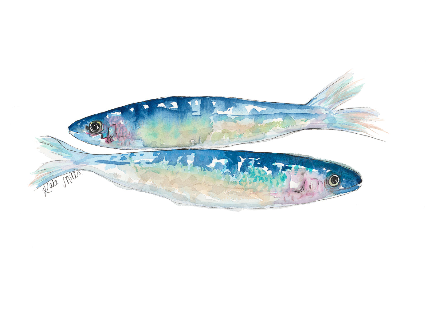 Sardines Watercolor Art Print